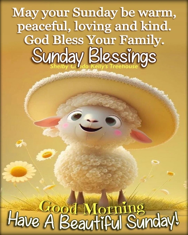 10 Happy Sunday Good Morning Quotes For A Beautiful Sunday - picture 6