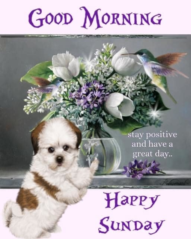 10 Happy Sunday Good Morning Quotes For A Beautiful Sunday - picture 7