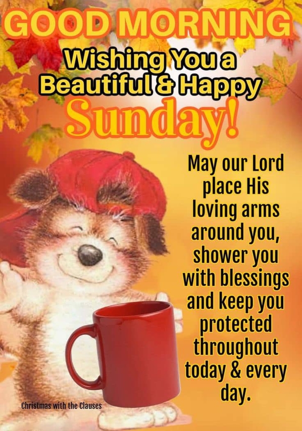 10 Happy Sunday Good Morning Quotes For A Beautiful Sunday - picture 9