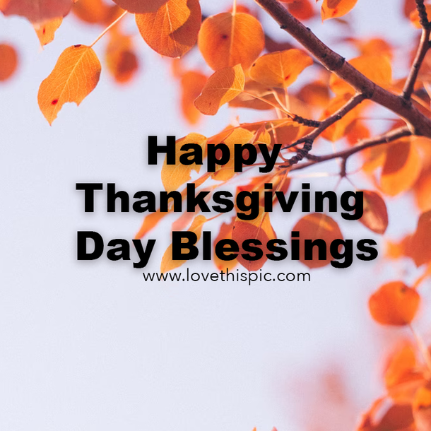 10 Happy Thanksgiving Day 2022 Quotes & Sayings - picture 11