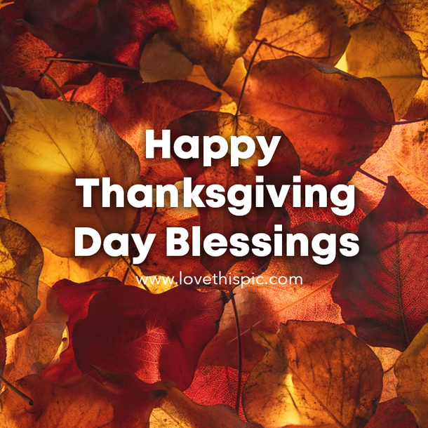 10 Happy Thanksgiving Day 2022 Quotes & Sayings - picture 8