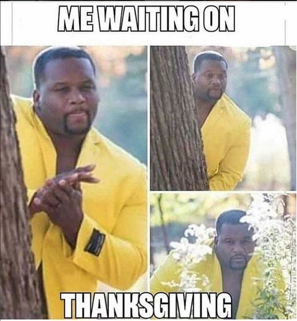 10 Happy Thanksgiving Memes To Express Your Excitement For The Holiday - picture 6