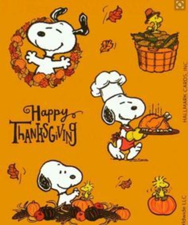 10 Happy Thanksgiving Snoopy Quotes, Greetings And Wishes - picture 3