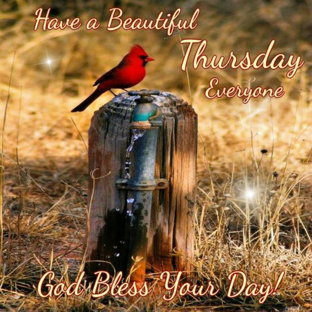 10 Happy Thursday Quotes & Thursday Blessings For A Lovely Day - picture 3