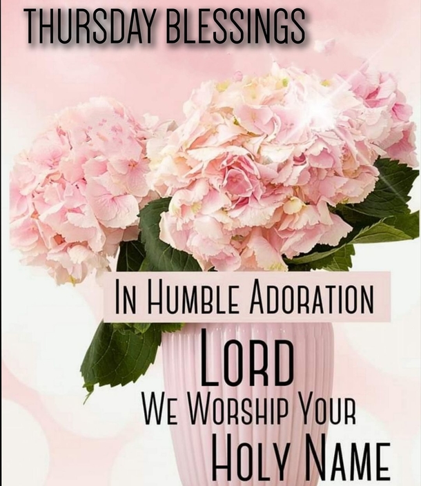 10 Happy Thursday Quotes & Thursday Blessings For A Lovely Day - picture 4