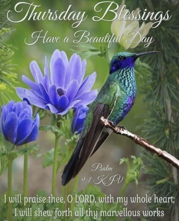 10 Happy Thursday Quotes & Thursday Blessings For A Lovely Day - picture 6