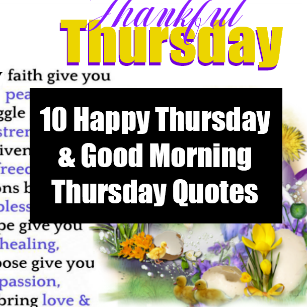 10 Happy Thursday & Good Morning Thursday Quotes