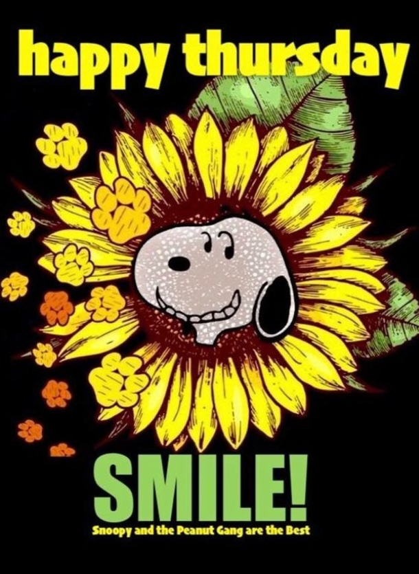 10 Happy Thursday & Good Morning Thursday Quotes - picture 2
