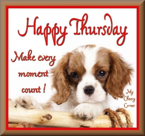 10 Happy Thursday & Good Morning Thursday Quotes - picture 5