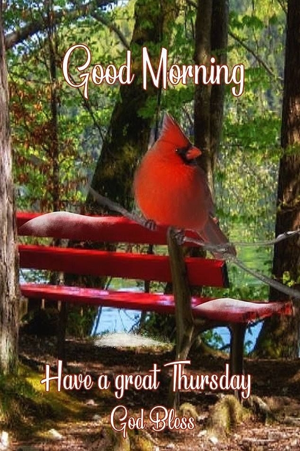 10 Happy Thursday & Good Morning Thursday Quotes - picture 7