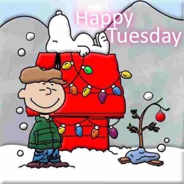 10 Happy Tuesday Greetings And Wishes For The Christmas Week - picture 11