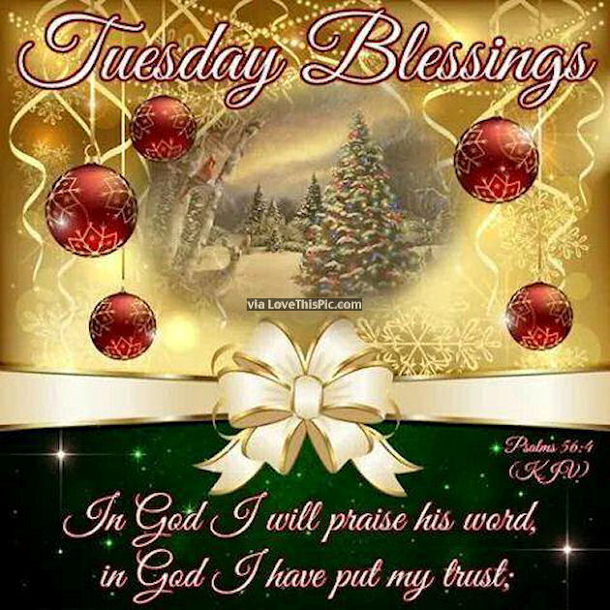 10 Happy Tuesday Greetings And Wishes For The Christmas Week - picture 5