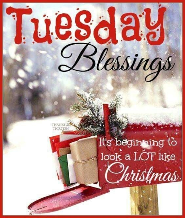 10 Happy Tuesday Greetings And Wishes For The Christmas Week - picture 6