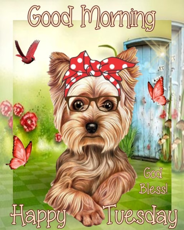 10 Happy Tuesday Greetings & Quotes To Make Your Day Joyful - picture 11