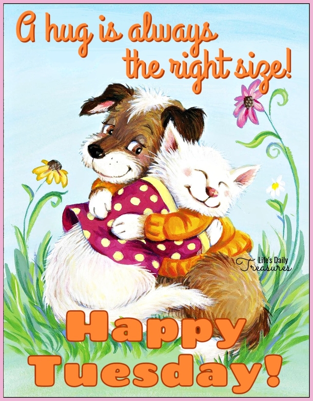 10 Happy Tuesday Greetings & Quotes To Make Your Day Joyful - picture 4