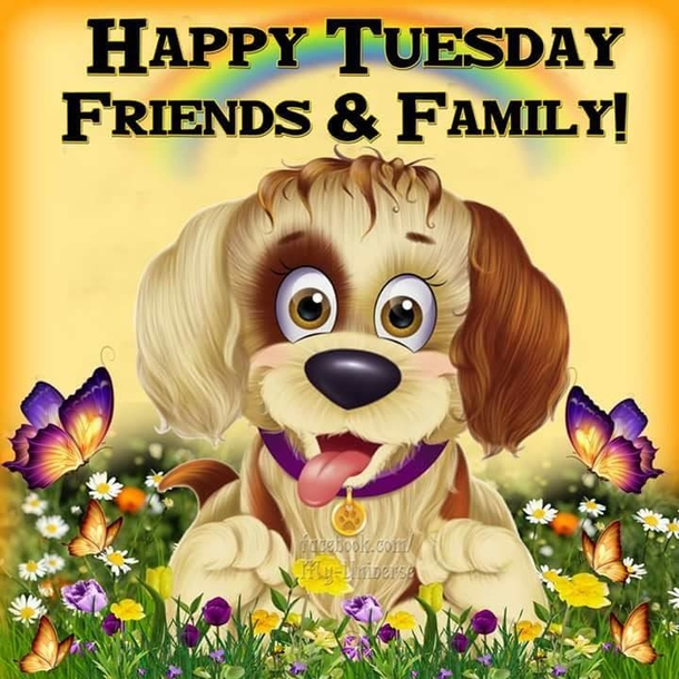 10 Happy Tuesday Greetings & Quotes To Make Your Day Joyful - picture 5