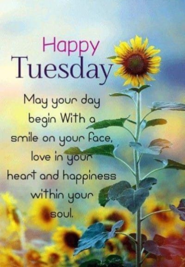 10 Happy Tuesday Wishes For A Bright And Beautiful Day - picture 10