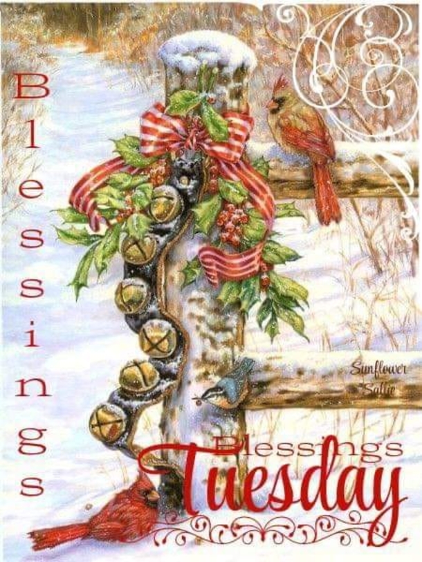 10 Happy Tuesday Wishes For A Bright And Beautiful Day - picture 12