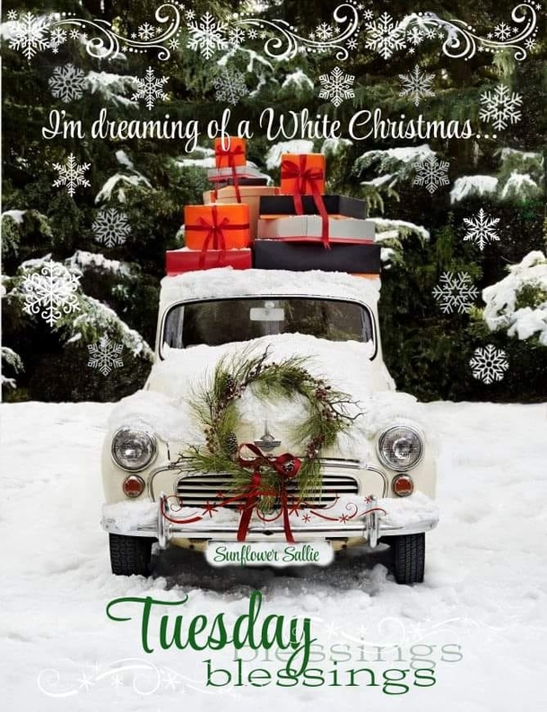 10 Happy Tuesday Wishes For A Bright And Beautiful Day - picture 4