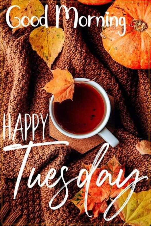 10 Happy Tuesday Wishes For A Bright And Beautiful Day - picture 6