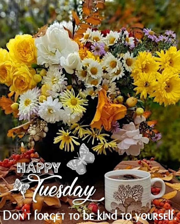10 Happy Tuesday Wishes For A Bright And Beautiful Day - picture 7