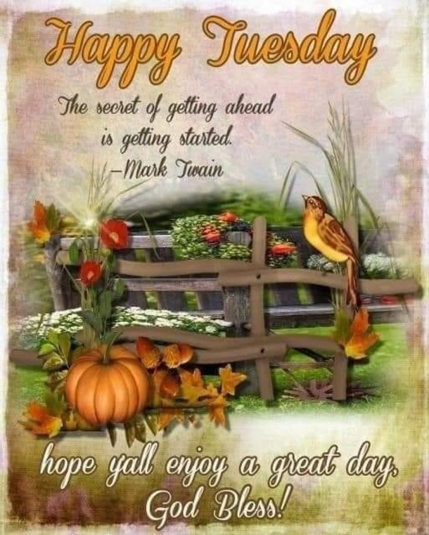 10 Happy Tuesday Wishes For A Bright And Beautiful Day - picture 8