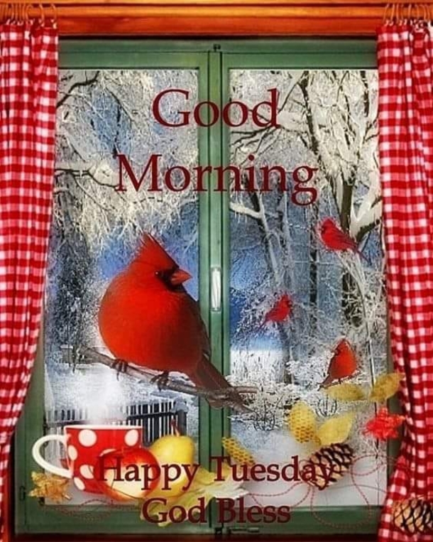 10 Happy Tuesday Wishes For A Bright And Beautiful Day - picture 9