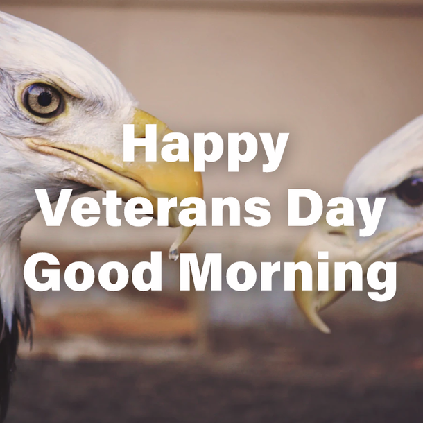 10 Happy Veterans Day Good Morning Quotes - picture 5