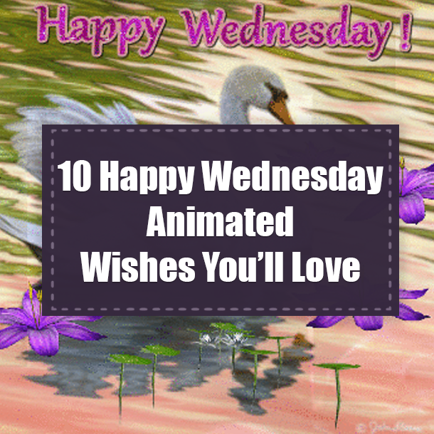10 Happy Wednesday Animated Wishes You'll Love