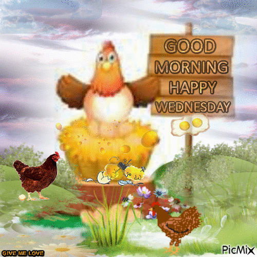 10 Happy Wednesday Animated Wishes You'll Love - picture 12
