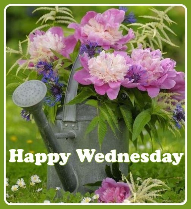 10+ Happy Wednesday Pictures With Quotes For An Inspiring Day - picture 2