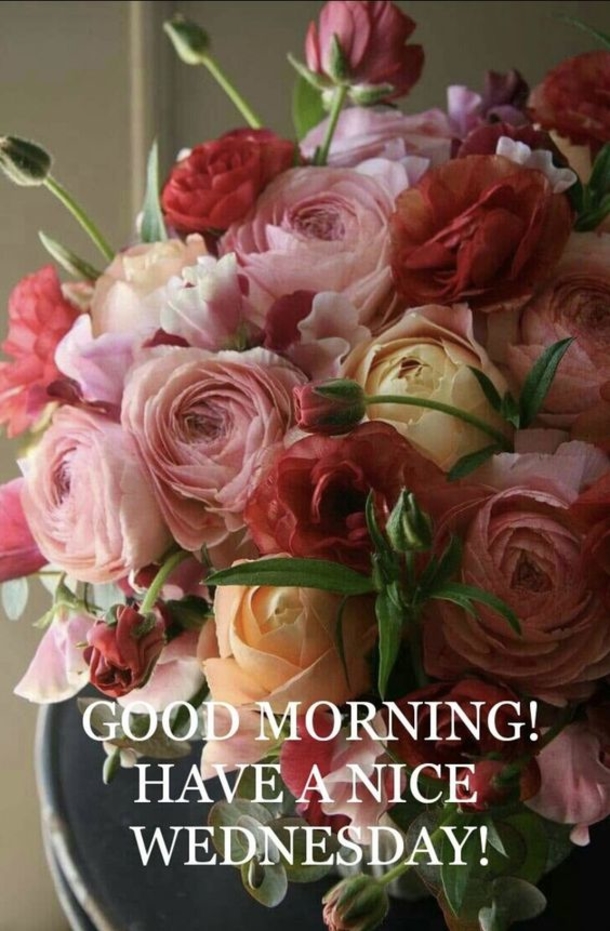 10+ Happy Wednesday Pictures With Quotes For An Inspiring Day - picture 7