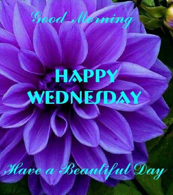 10 Happy Wednesday Quotes To Boost Your Mood - picture 4