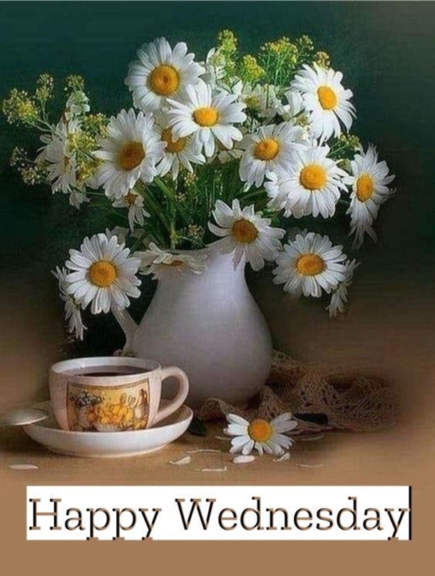 10 Happy Wednesday Quotes To Boost Your Mood - picture 5