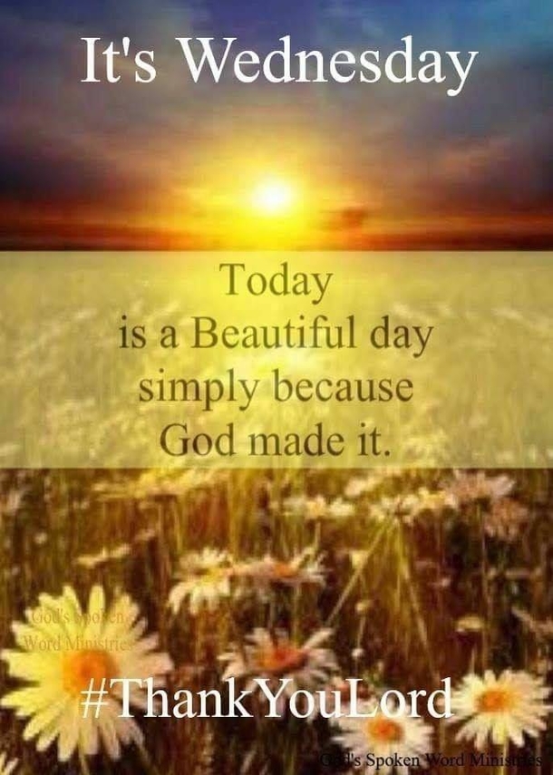 10 Happy Wednesday Quotes To Boost Your Mood - picture 7