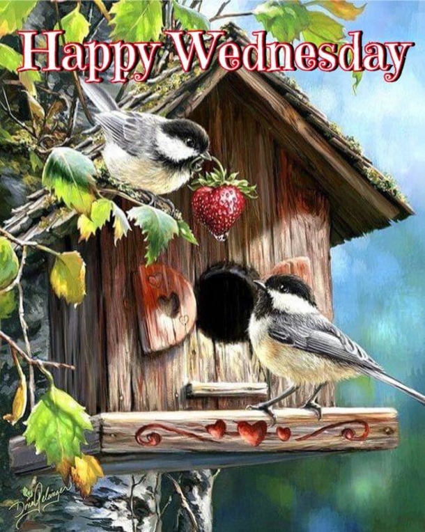 10 Happy Wednesday Quotes To Boost Your Mood - picture 8