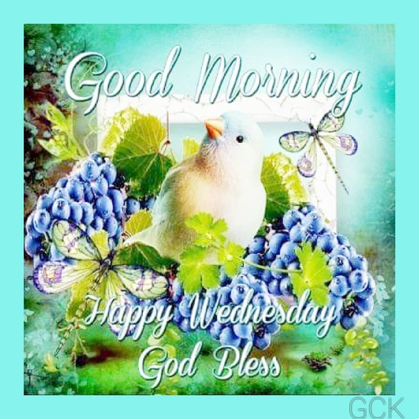 10 Happy Wednesday Wishes To Make Your Day Blessed - picture 11