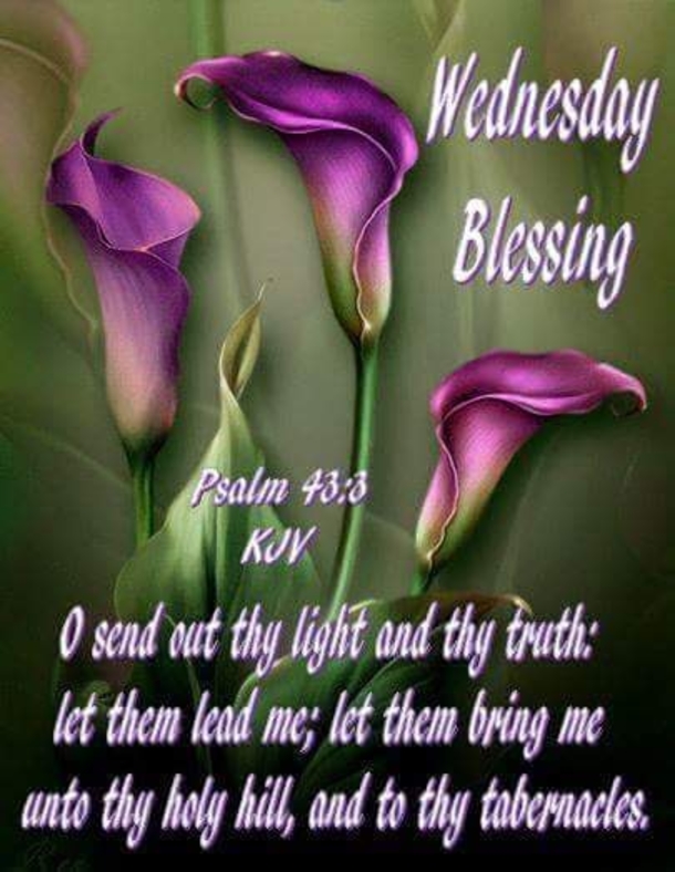 10 Happy Wednesday Wishes To Make Your Day Blessed - picture 4