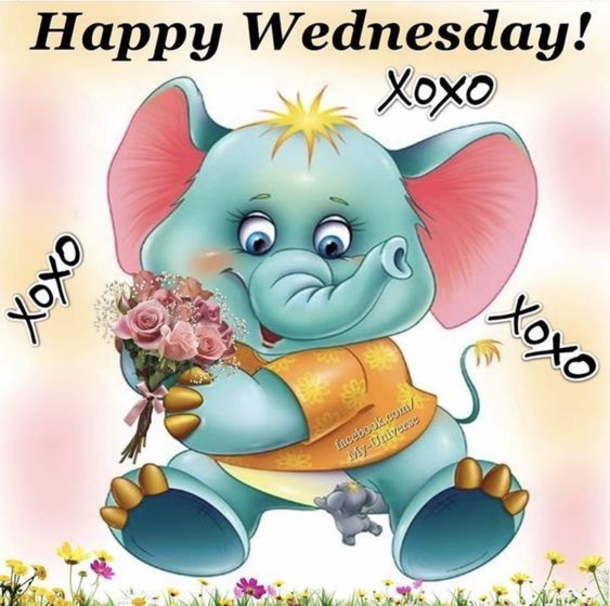 10 Happy Wednesday & Good Morning Wednesday Quotes - picture 5