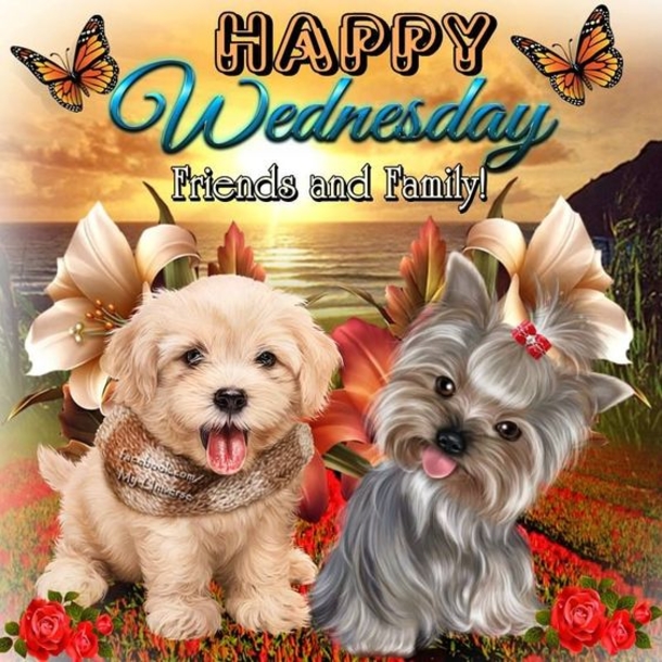 10 Happy Wednesday & Good Morning Wednesday Quotes - picture 8