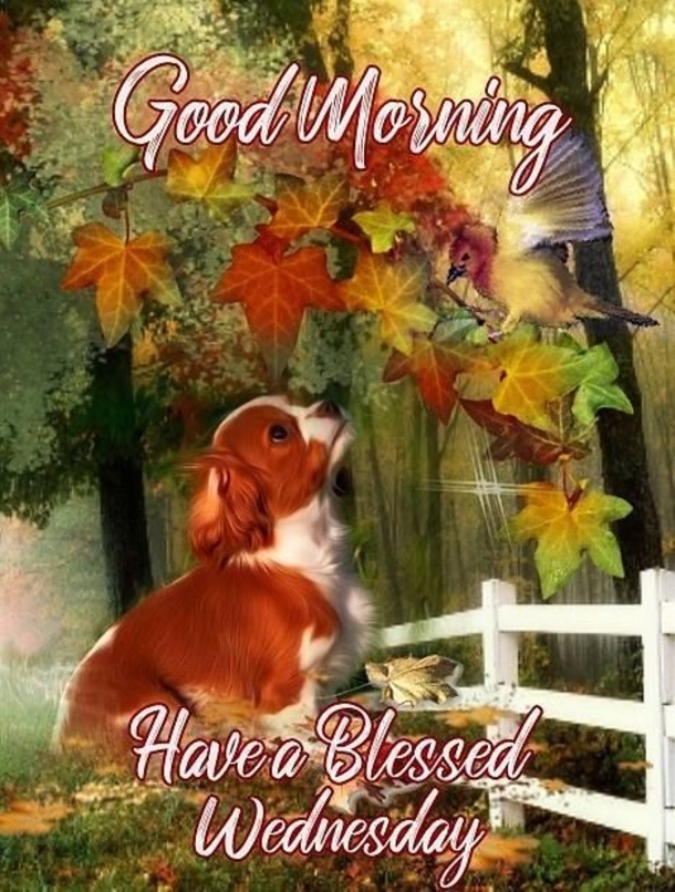 10 Happy Wednesday & Good Morning Wednesday Quotes - picture 9