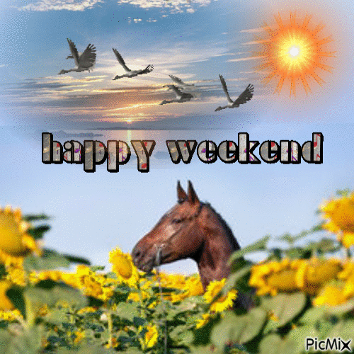 10 Happy Weekend Gifs - picture 11