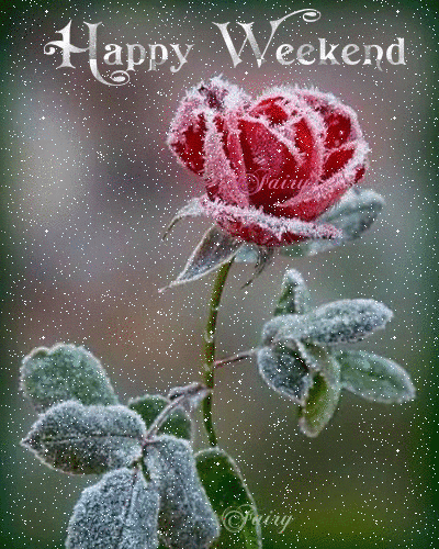 10 Happy Weekend Gifs - picture 3