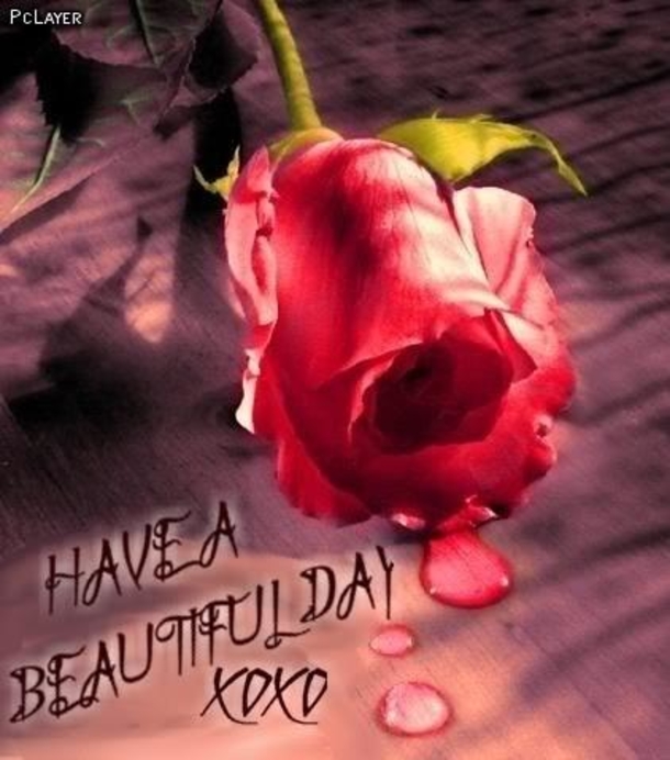 10 Happy Wishes & Greetings To Have A Good Day! - picture 4