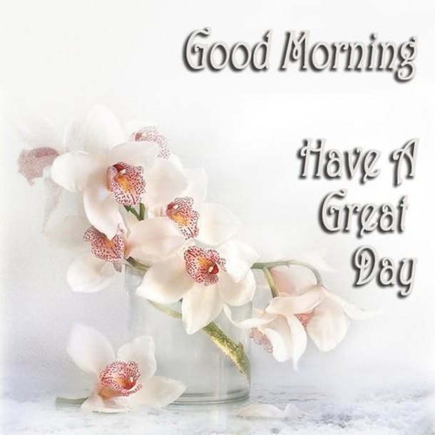 10 Happy Wishes & Greetings To Have A Good Day! - picture 5