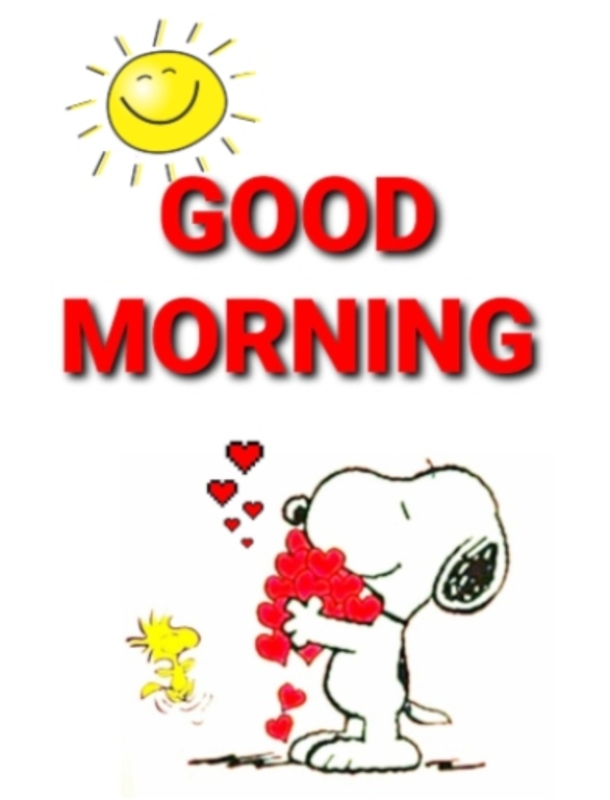 10 Happy & Cheerful Good Morning Quotes To Make Your Day Feel Amazing - picture 10