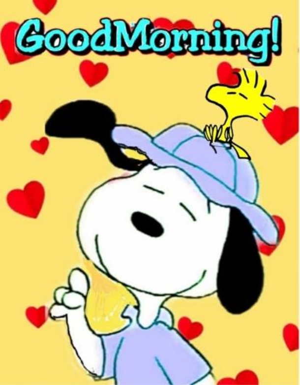 10 Happy & Cheerful Good Morning Quotes To Make Your Day Feel Amazing - picture 11