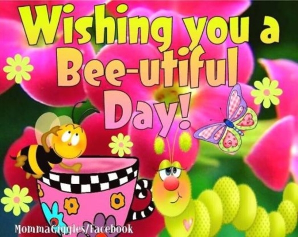 10 Happy & Cheerful Good Morning Quotes To Make Your Day Feel Amazing - picture 3
