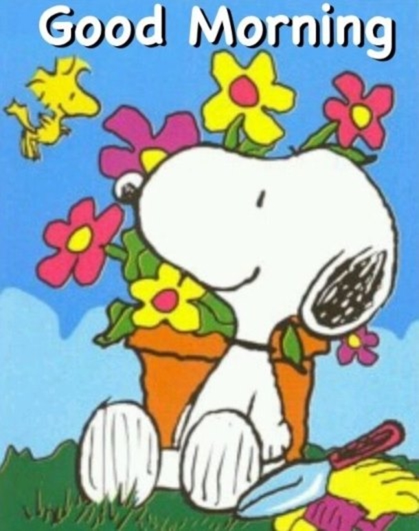 10 Happy & Cheerful Good Morning Quotes To Make Your Day Feel Amazing - picture 7