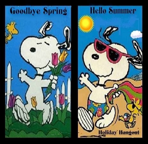 10 Happy & Welcome Summer Quotes With Snoopy To Bring In The New Summer Season - picture 10